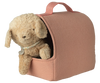 Pet Carrier | Coral