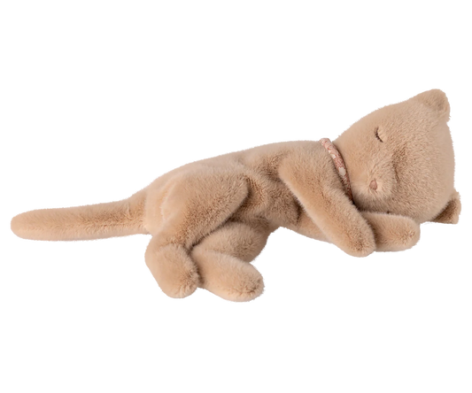Sleeping Kitten Plush | Medium | Cream