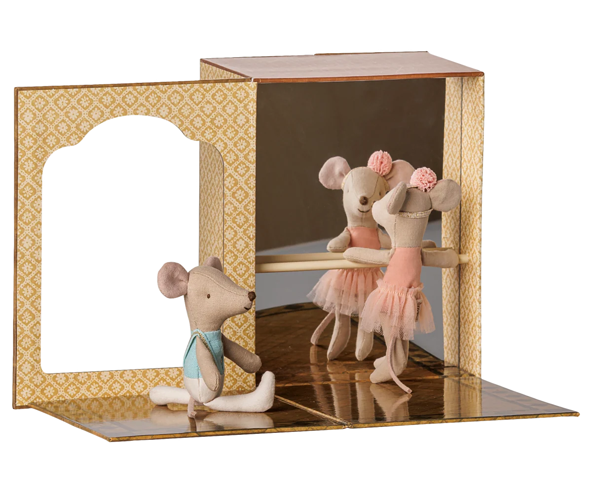 Ballet Mice in Dance Studio | Little Sister and Brother