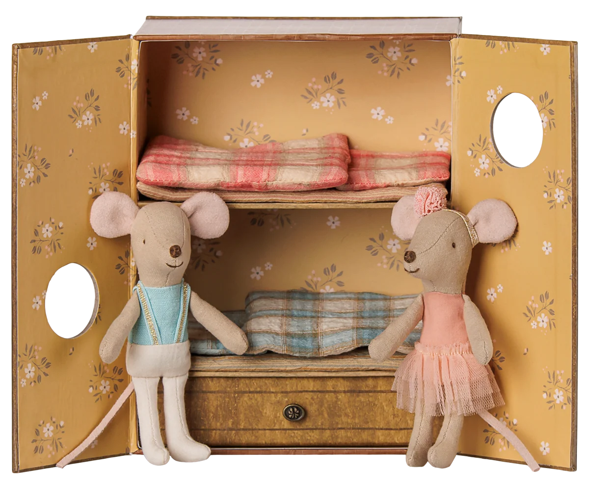 Ballet Mice in Dance Studio | Little Sister and Brother