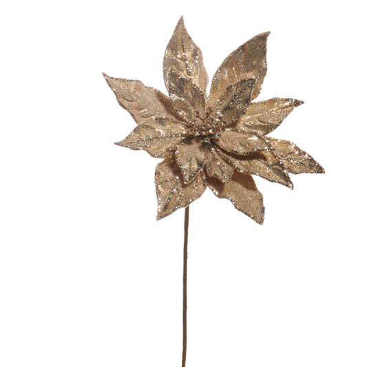 20" Soft Champagne Pointsettia Stem