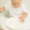Speckle Wonder Plate