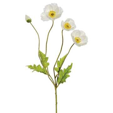 Poppy Spray | White