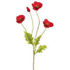 Poppy Spray | Red