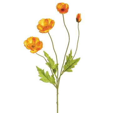 Poppy Spray | Orange