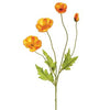 Poppy Spray | Orange