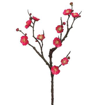 Plum Blossom Spray  |  Fuchsia