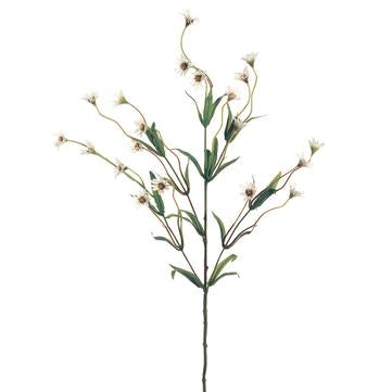 Wild Daisy Spray  | Cream White