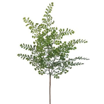 Maidenhair Fern Spray | 20”