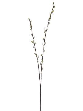 Pussy Willow Spray | Gray