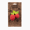 Valery the Raspberry