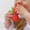 Valery the Raspberry