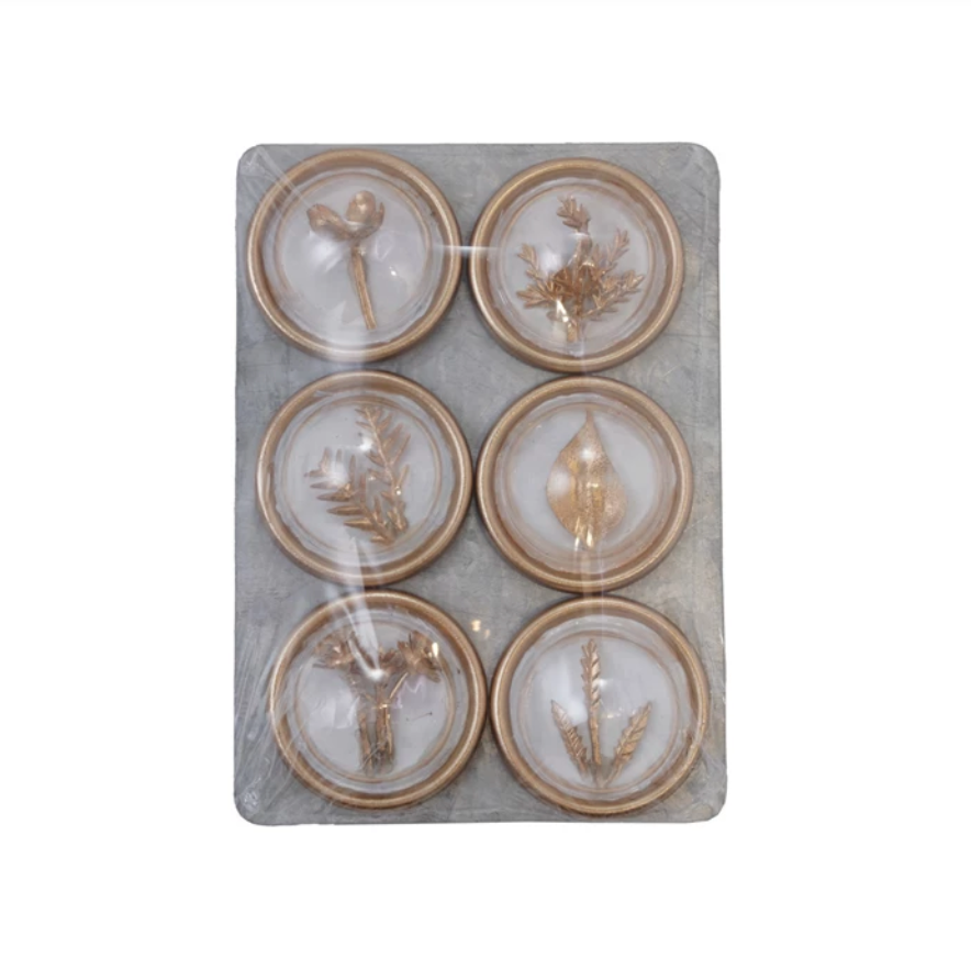 Resin Magnets on Metal Card with Gold Greenery | Set of 6