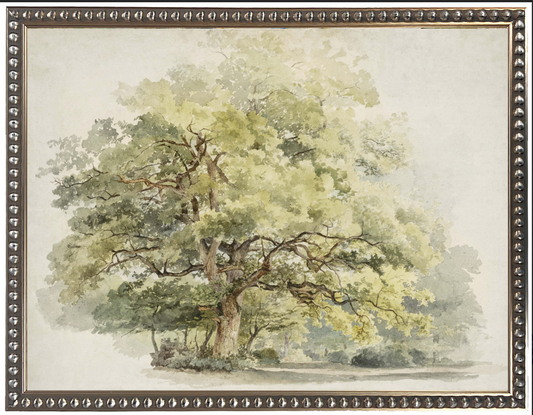 Vintage Watercolor Tree | 16x12