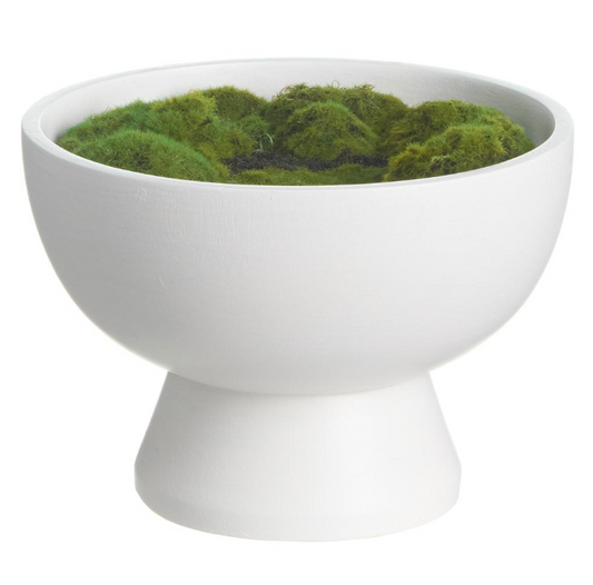 12" Moss in Wood Planter