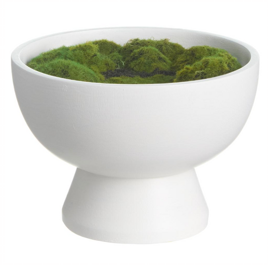 8" Moss in Wood Planter
