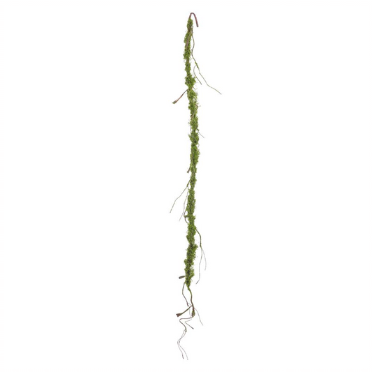71" Moss Vine