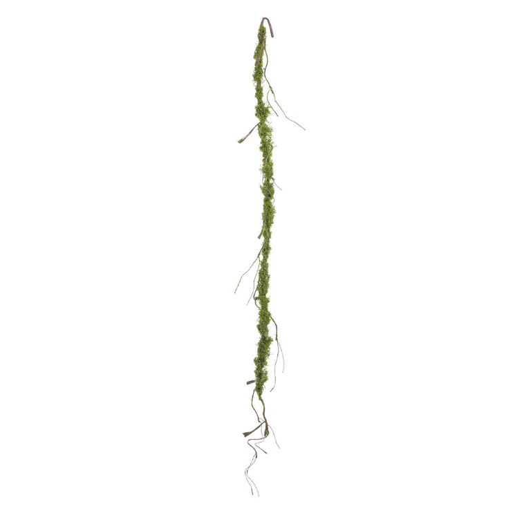 71" Moss Vine