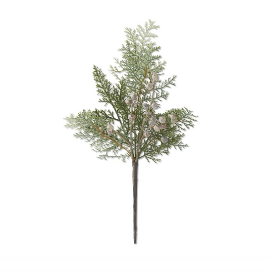 18" Cedar with Berry Stem