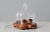 Glass Quatrefoil Dome