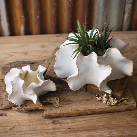 Organic Ceramic Planter | L