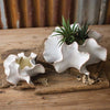 Organic Ceramic Planter | L