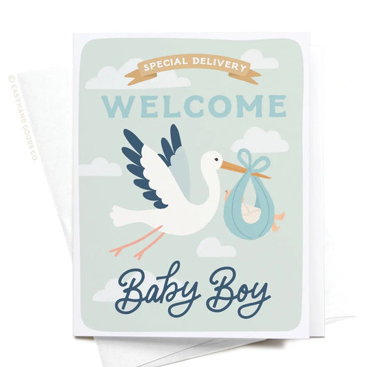 Special Delivery Welcome Baby Boy Greeting Card