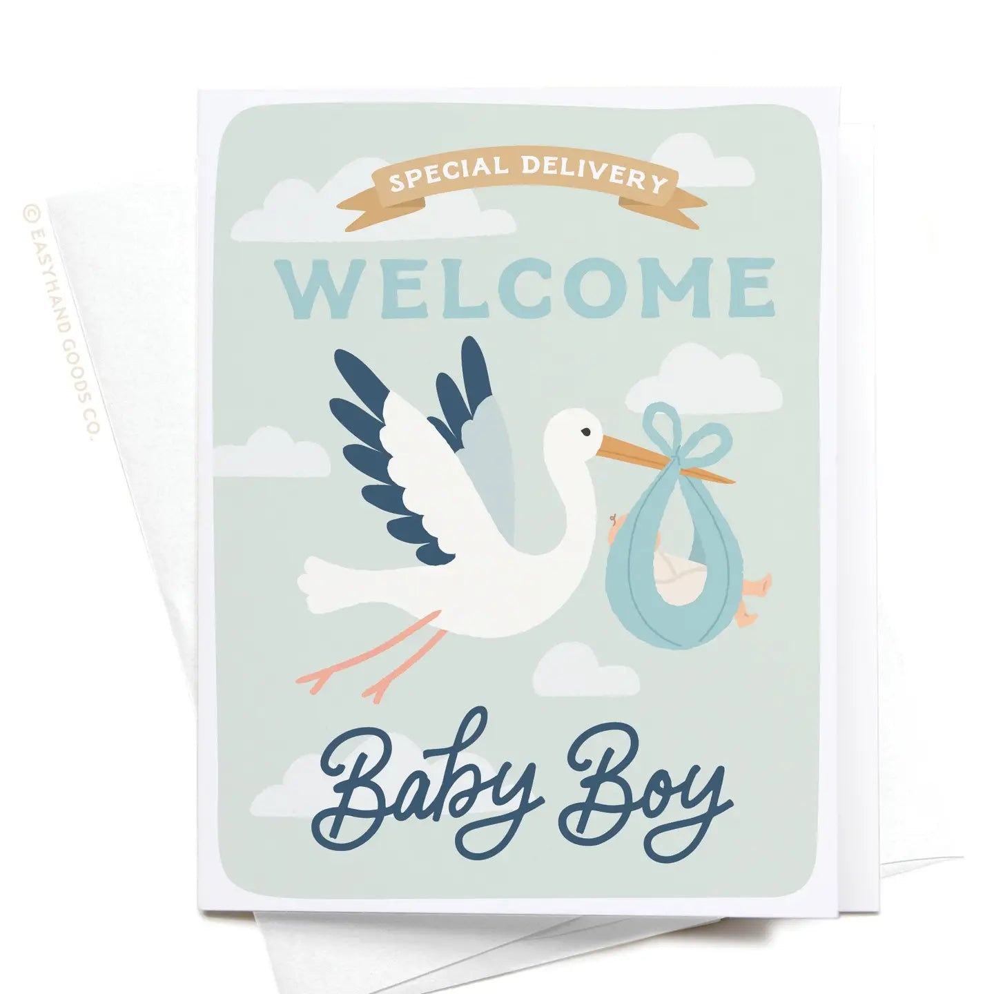 Special Delivery Welcome Baby Boy Greeting Card