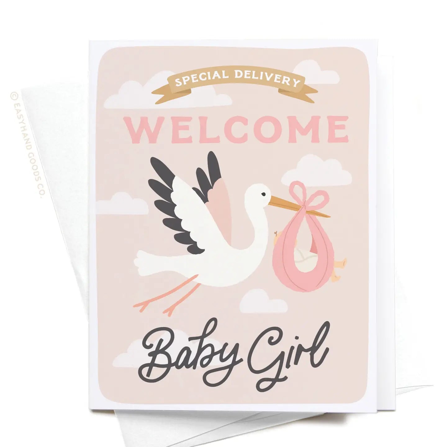 Special Delivery Welcome Baby Girl Greeting Card