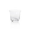 Julien Clear Optic Tumbler