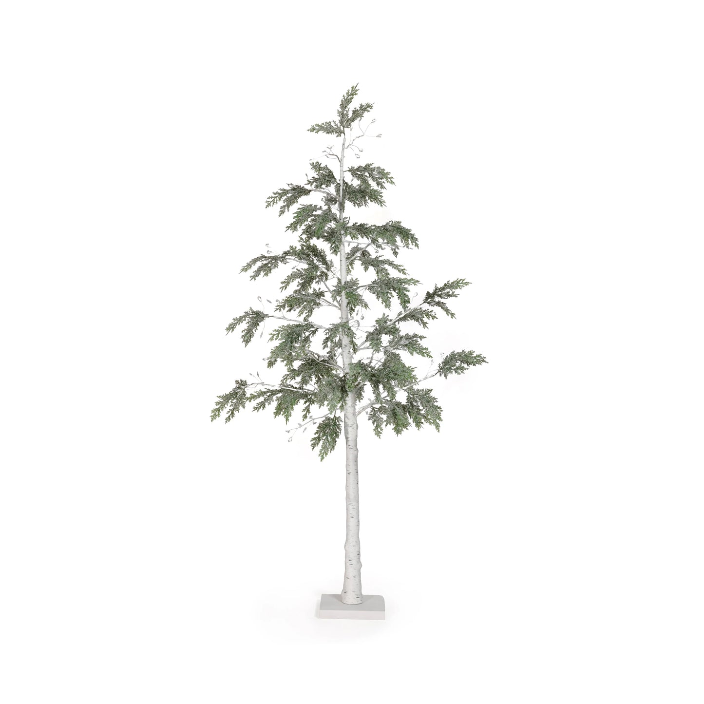 Cypress LED Tree | 3 sizes