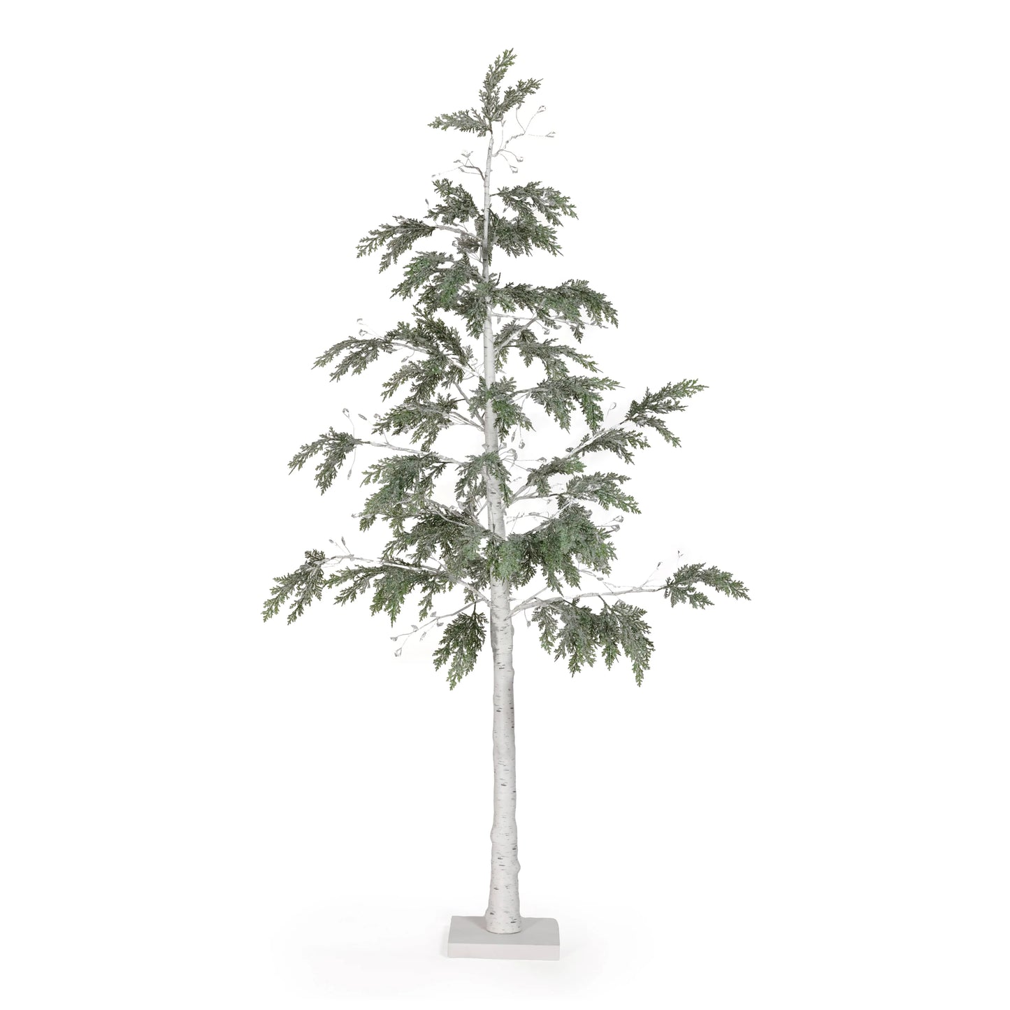 Cypress LED Tree | 3 sizes