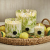 Apothecary Guild Opal Glass Three-Wick Candle Jar | 150 hours