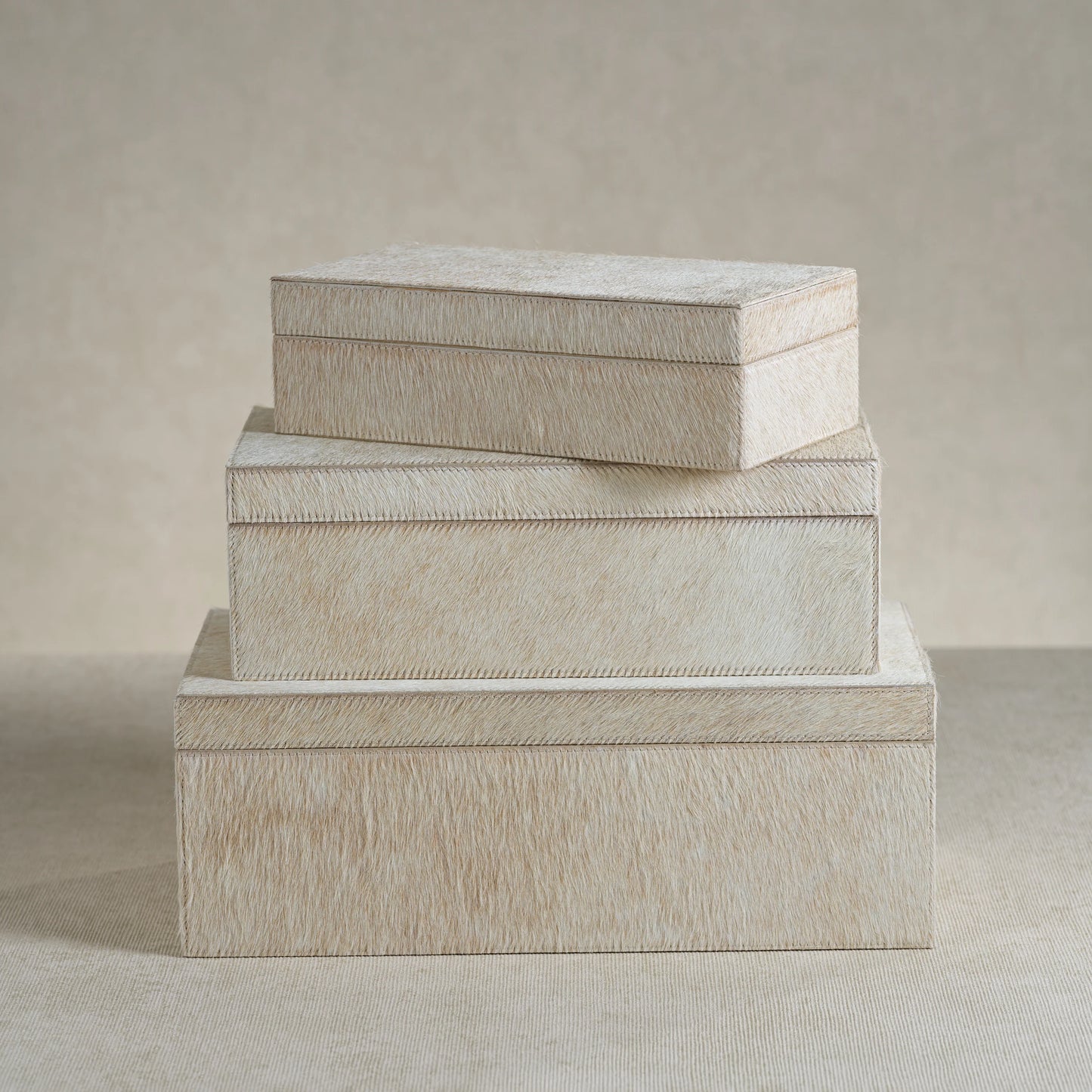 Corviglia Hair On Hide Leather Box | Small