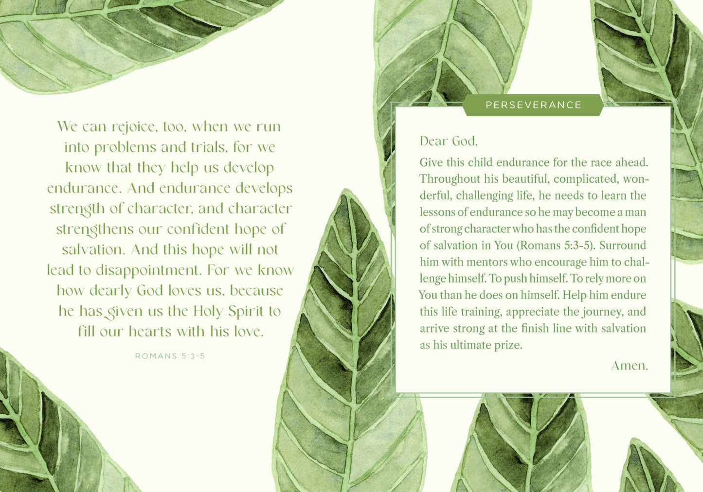 Prayers for My Baby Boy | Hardcover