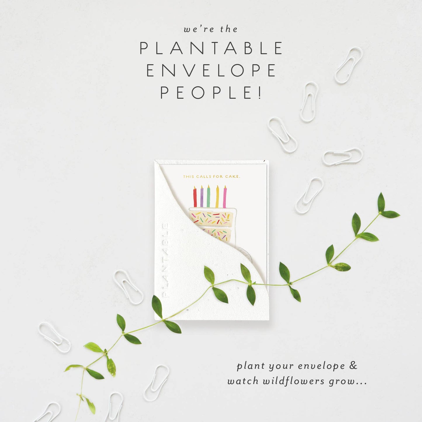 Birthday Slice Sprout | Birthday Mini Greeting Card