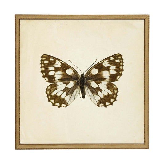 Moth Print 5 | 24x24