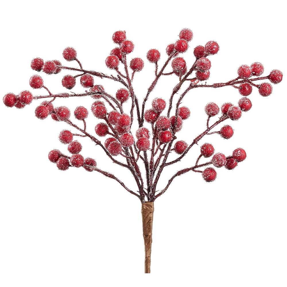14" Iced Rosehip Bush  |  Red