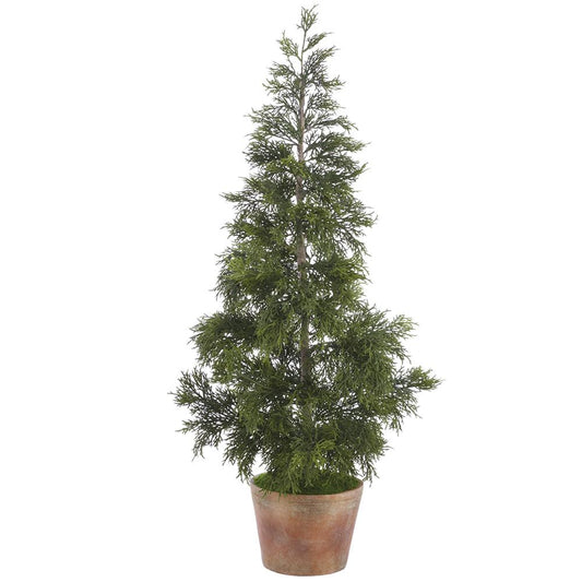 48" Juniper Tree in Cement Pot