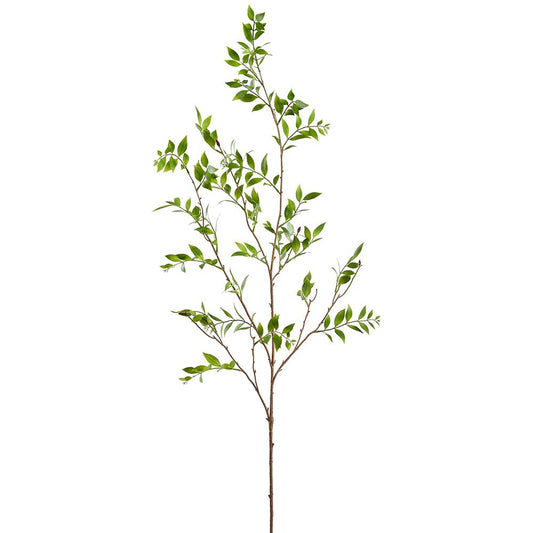 55" Boardleaf Podocarpus Leaf Branch | Green