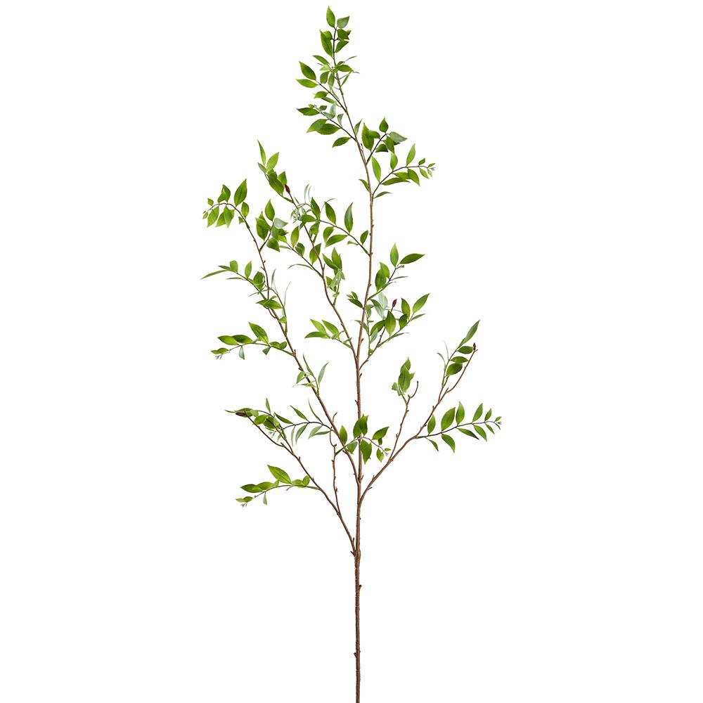 55" Boardleaf Podocarpus Leaf Branch | Green