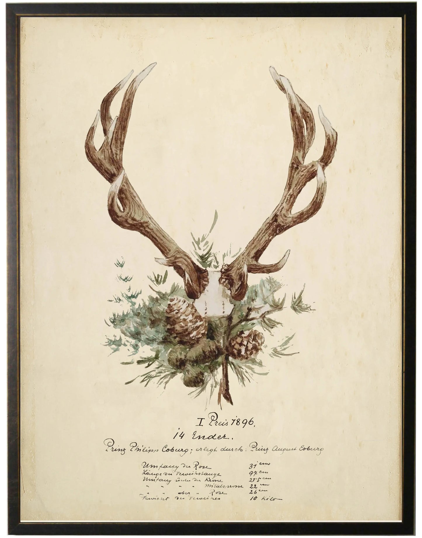 Vintage Antler Bookplate | 22x28