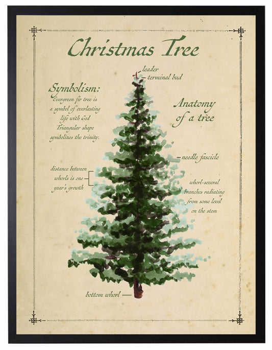 Holiday Christmas Tree with Definition | 16x20