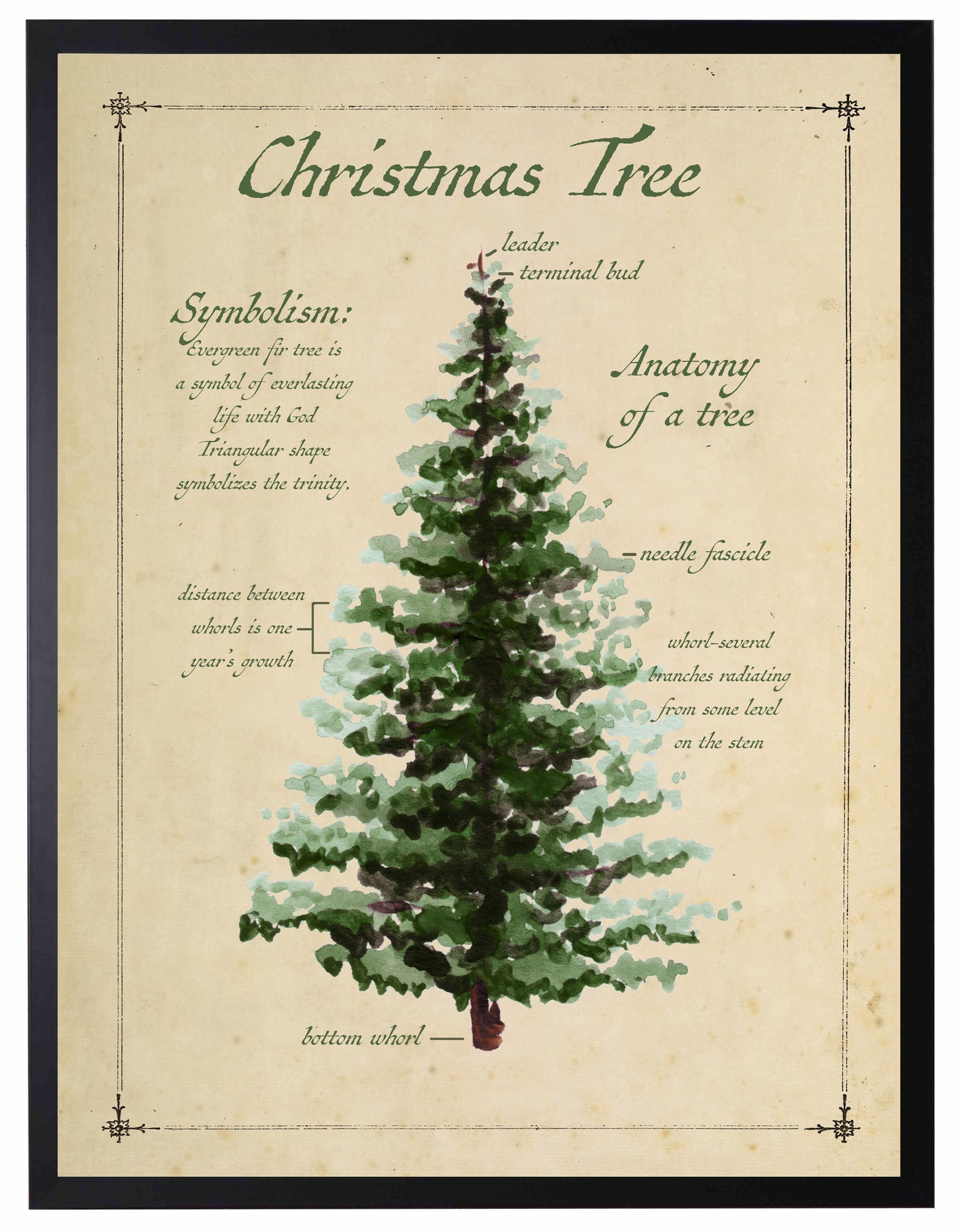 Holiday Christmas Tree with Definition | 16x20