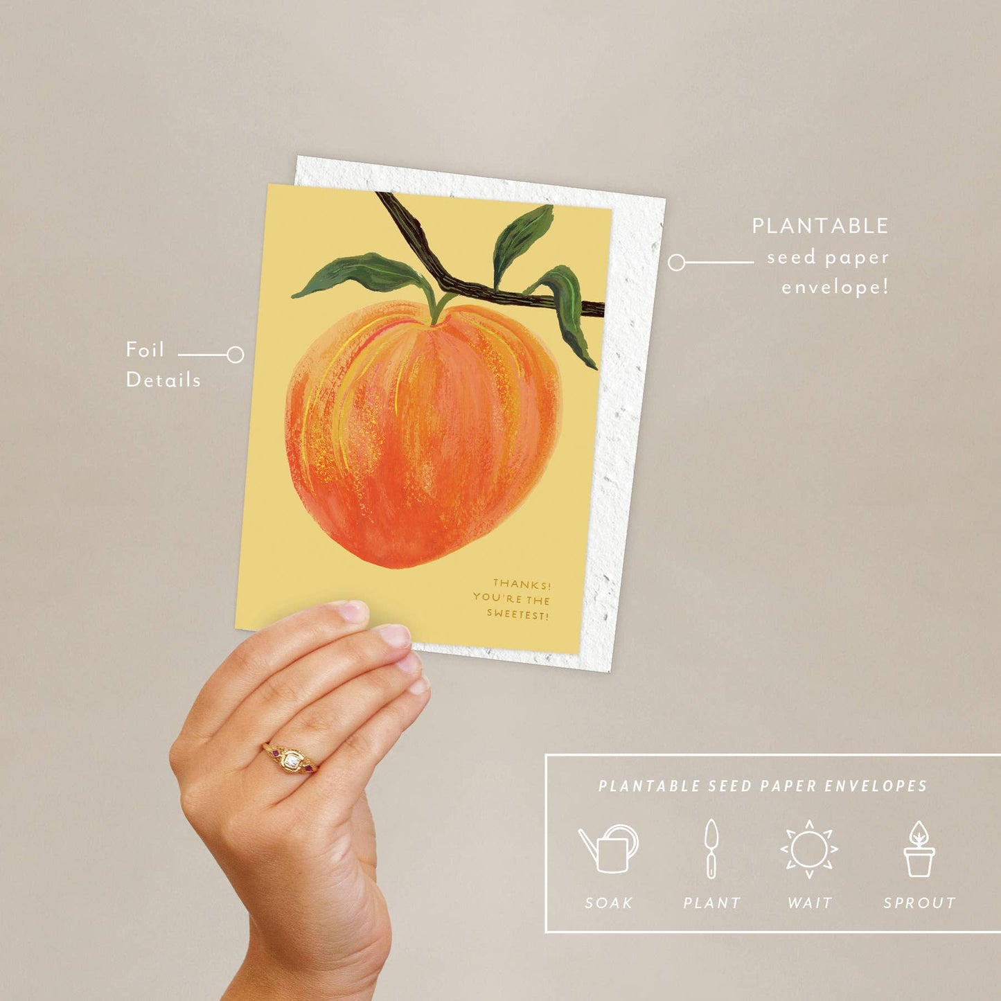 Peach | Thank You Card