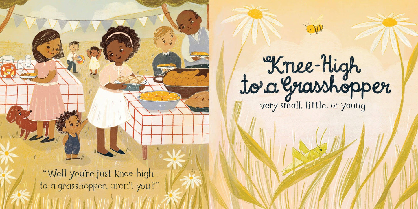 Southern Baby Board Book