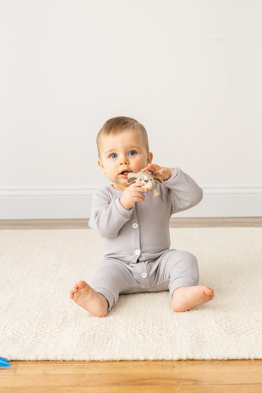 Puppy Ritzy Teether™ Baby Molar Teether