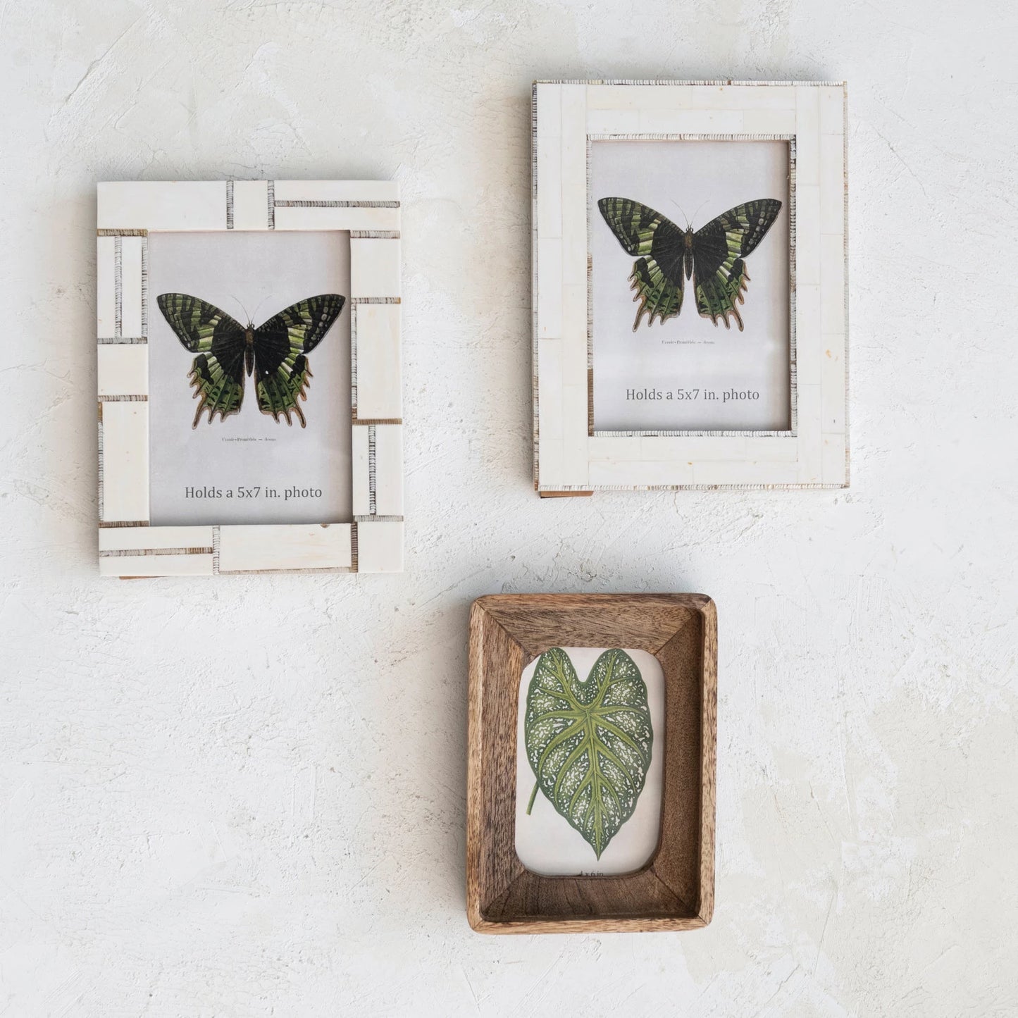 Resin Photo Frame w/ Horn Inlay | Ivory Color | 2 Styles
