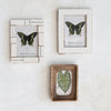 Resin Photo Frame w/ Horn Inlay | Ivory Color | 2 Styles