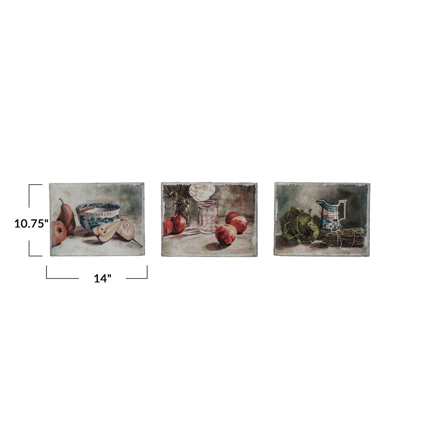 Canvas Wall Décor w/ Still Life | 3 Styles